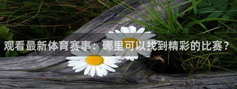 观看最新体育赛事：哪里可以找到精彩的比赛？