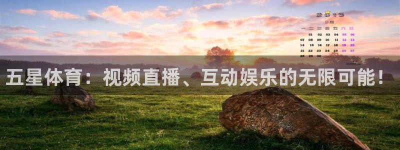 五星体育：视频直播、互动娱乐的无限可能！