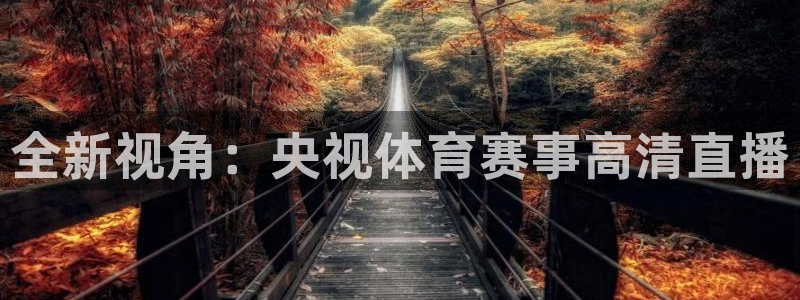 全新视角：央视体育赛事高清直播
